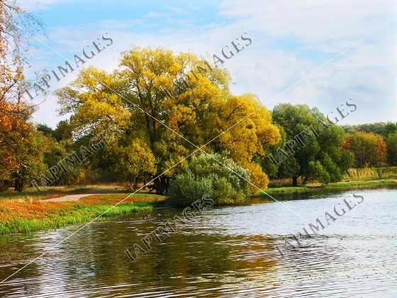 autumn beauty