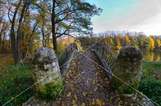 autumn landscape