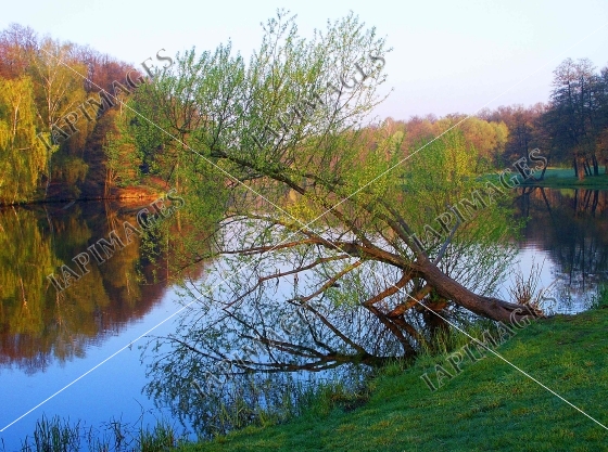 calm nature