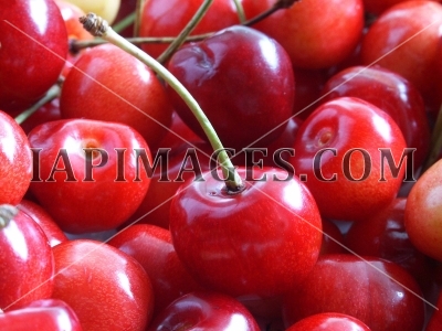 cherry353