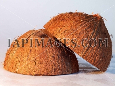Coconut