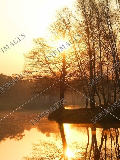 dawn on the lake