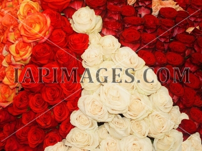 flowerspattern3700