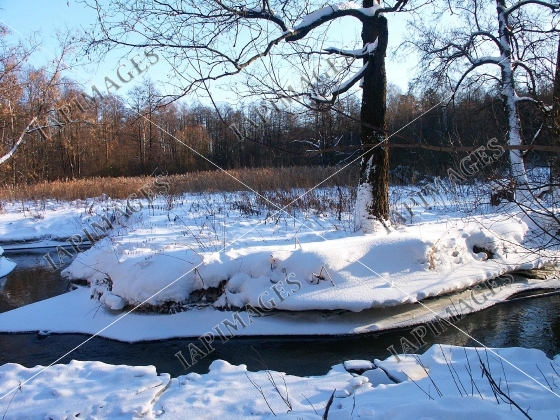 frost and sun