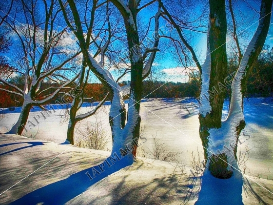 frosty day