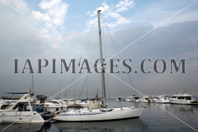 marina490
