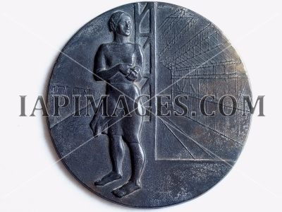 medal Deyneka 2