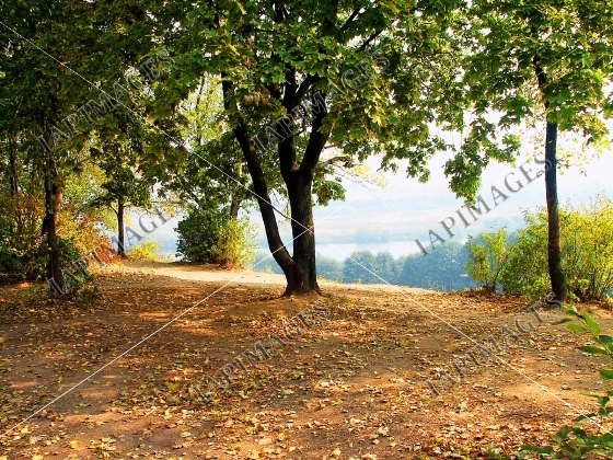 picturesque view