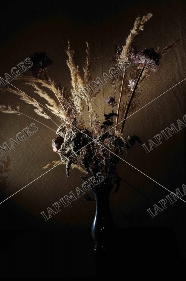 rural still life