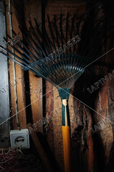 rural still life