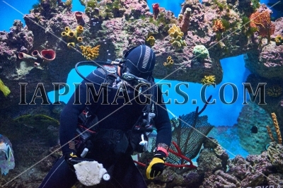 submariner