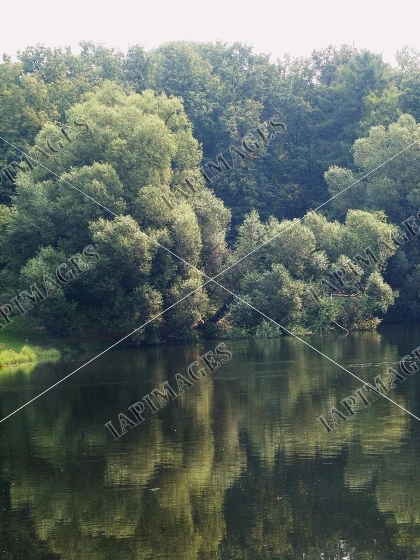 summer nature