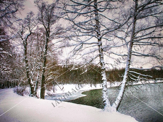 winter landscape