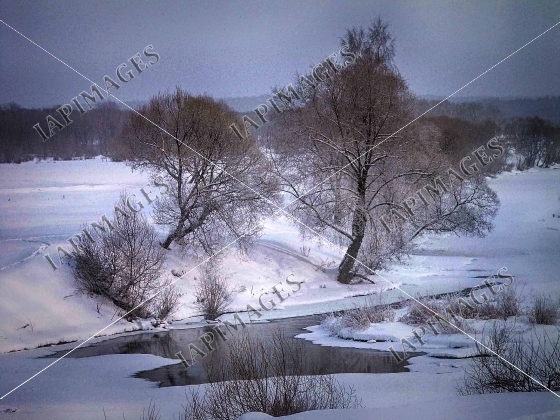 winter nature