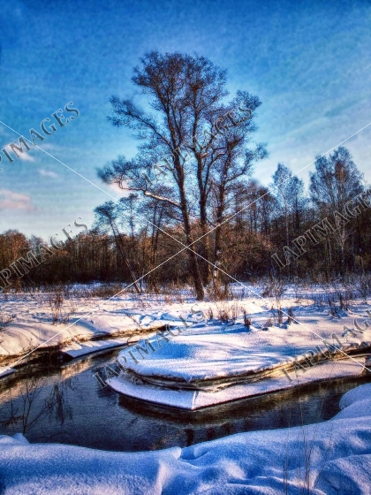 winter nature