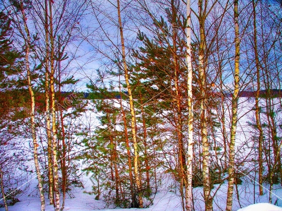 winter sunset