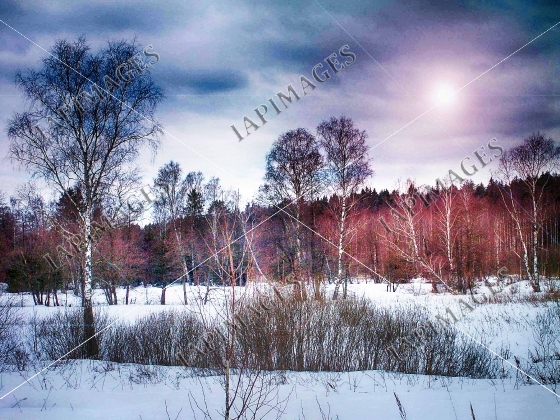 winter sunset